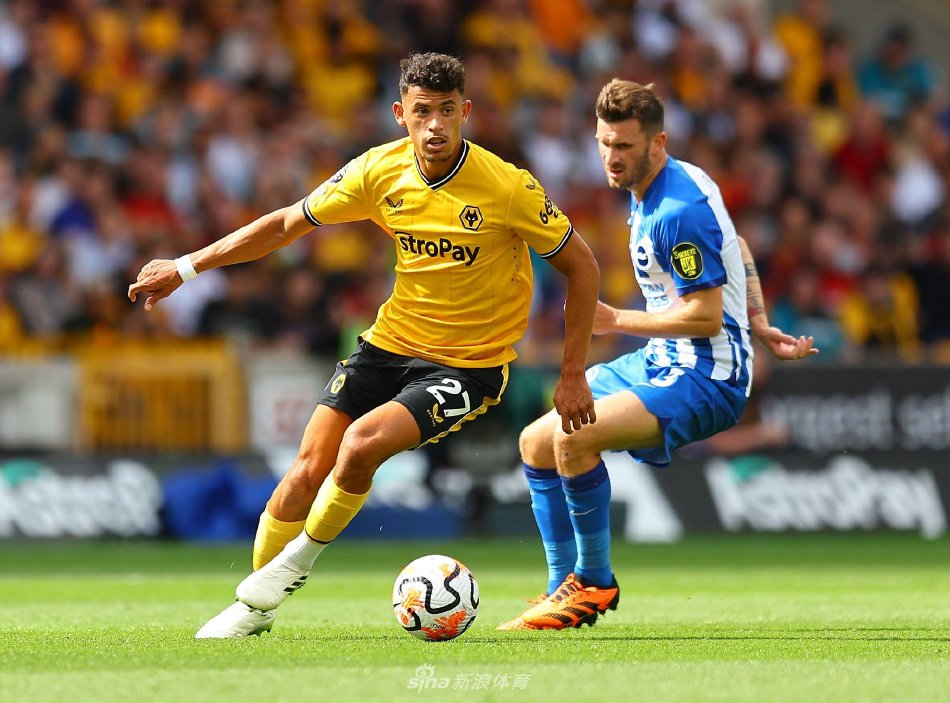 这种画面确 这种画面确