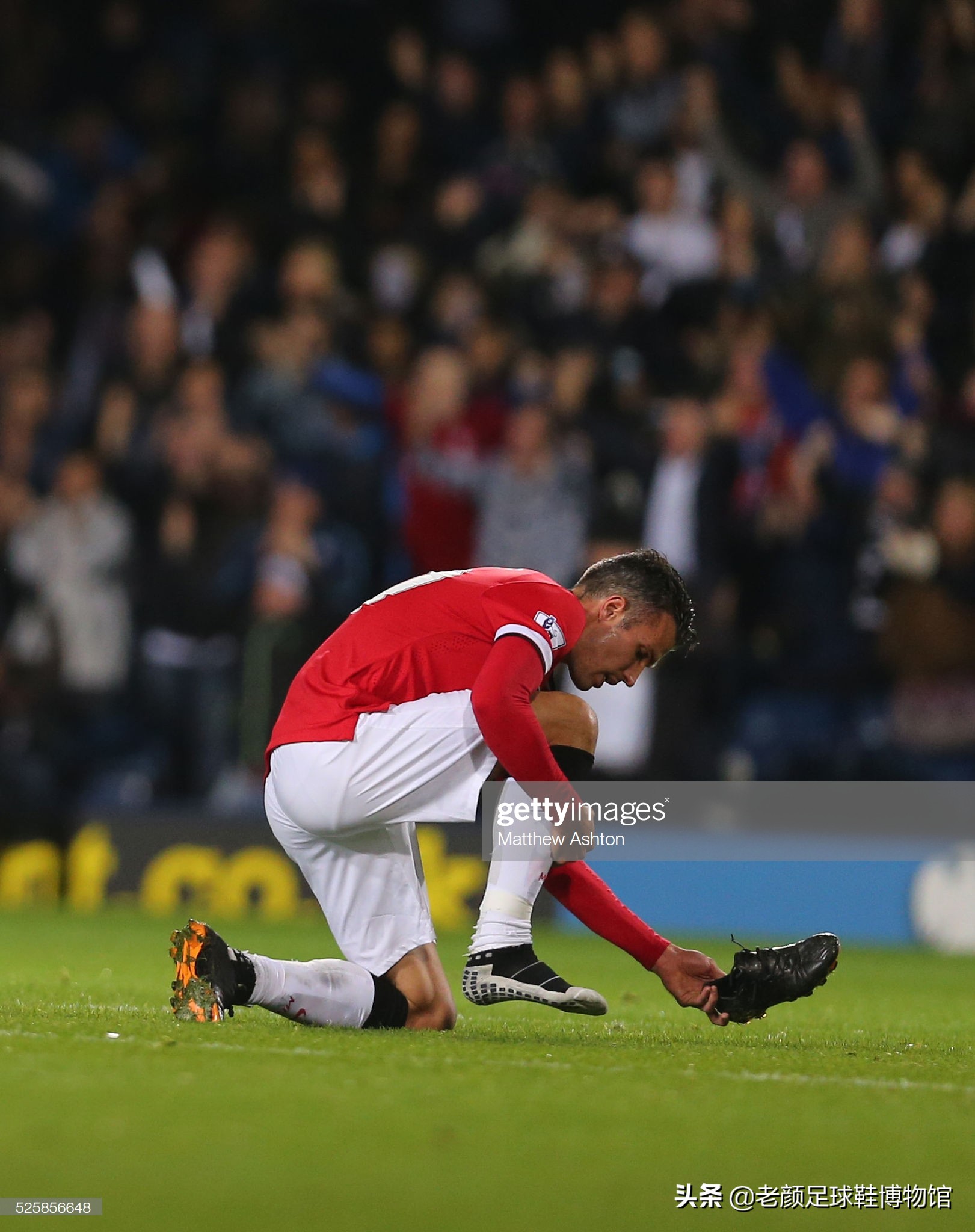 的完美结合 的完美结合